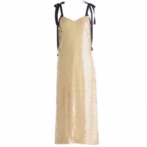 J. Crew Desert Canyon sequined sheath dress